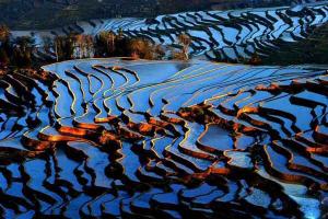 Yuanyang Rice Terraces